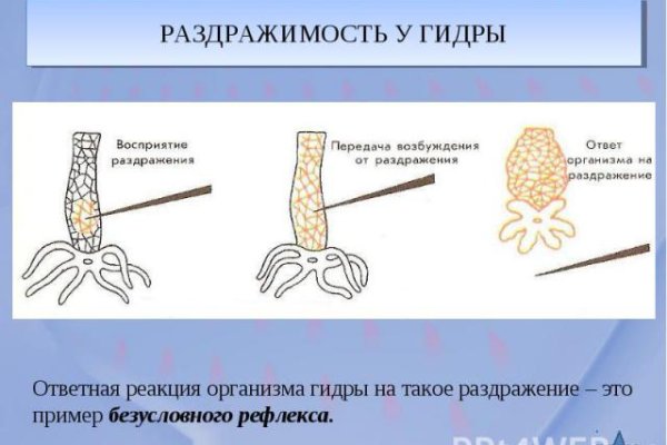 Правильная ссылка на кракен