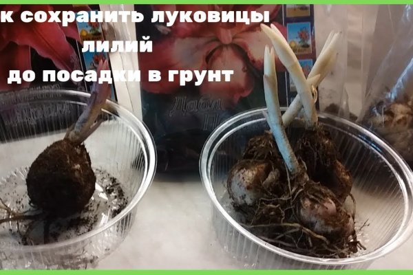 Кракен актуальное зеркало