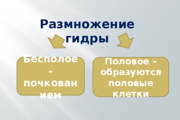 Как зайти на кракен через тор