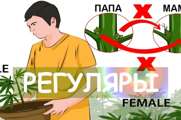 Какой нужен тор чтоб зайти в кракен